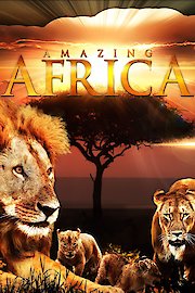 Amazing Africa poster