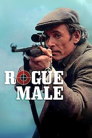 Rogue Male poster