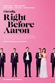 The Wedding Guest poster
