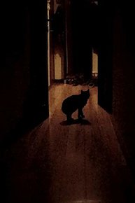 El terrible sueño de Li