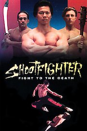 Shootfighter poster