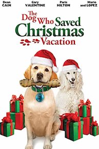 The Dog Who Saved the Christmas Holidays