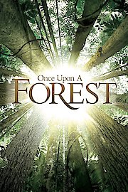 Once Upon a Forest poster