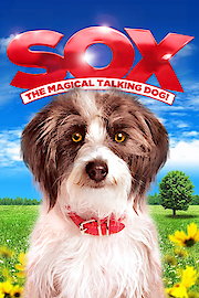 Sox: The Magical Talking Dog!