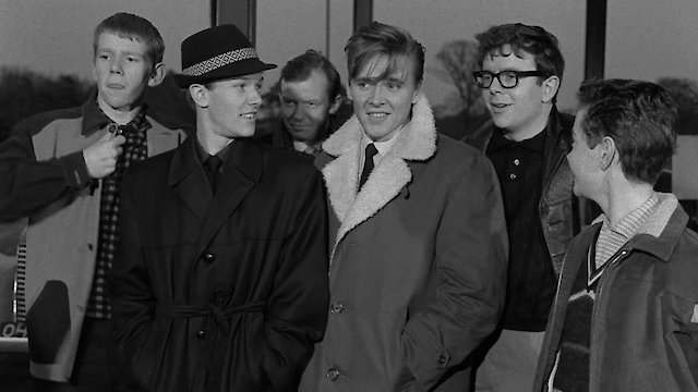 Watch Play It Cool Online