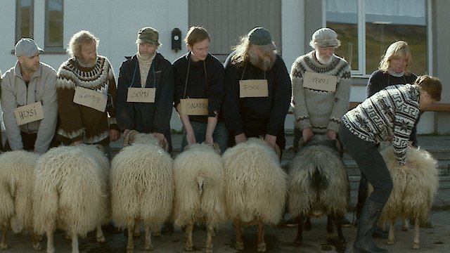 Watch Rams - with optional English subtitles Online