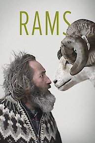 Rams - with optional English subtitles