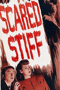 Scared Stiff (aka Treasure Of Fear)