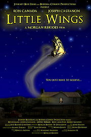 Little Wings poster