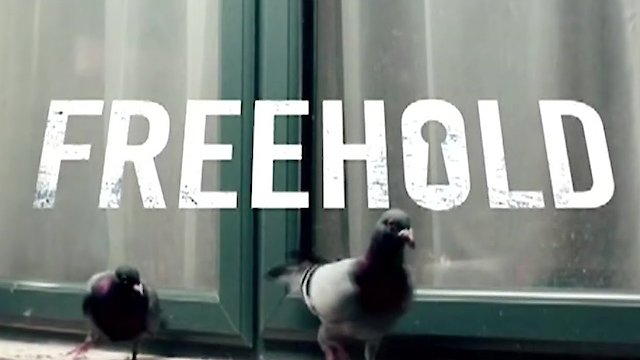 Watch Freehold Online