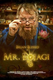 MR. BOJAGI poster
