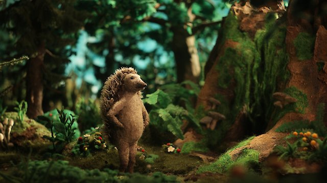 Watch Hedgehog's Home Online