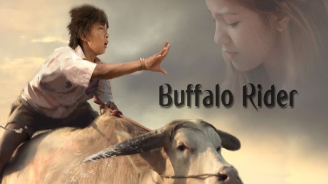 Watch Buffalo Rider Online