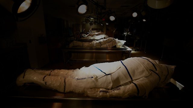 Watch The First Patient Online
