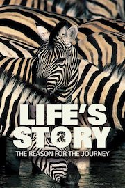 Life's Story 2