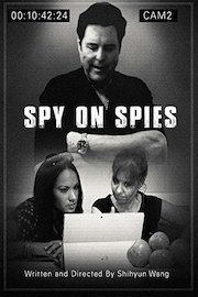 Spy on spies poster