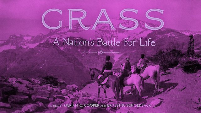 Watch Grass Online