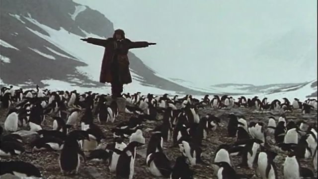Watch Cry of the Penguins Online