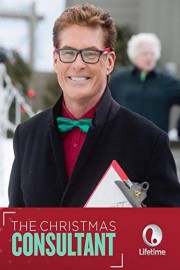 The Christmas Consultant poster