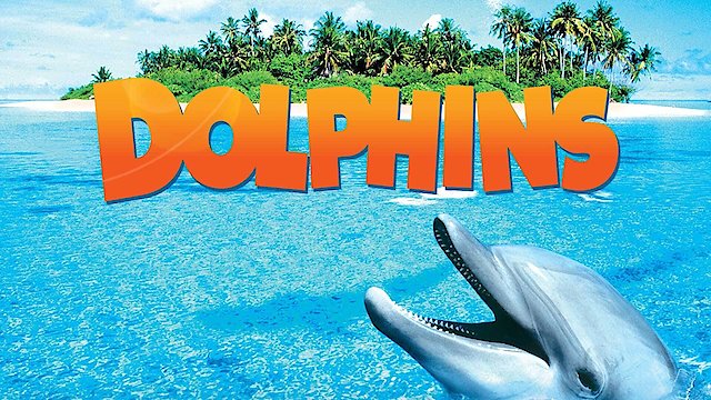 Watch Dolphins Online