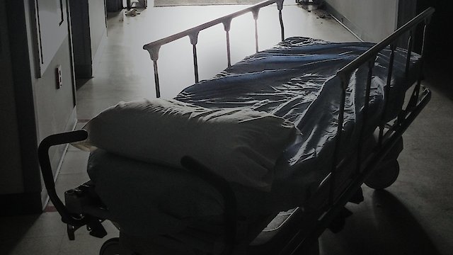 Watch The Care They've Earned Online