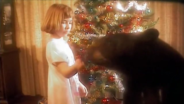 Watch Winslow the Christmas Bear Online