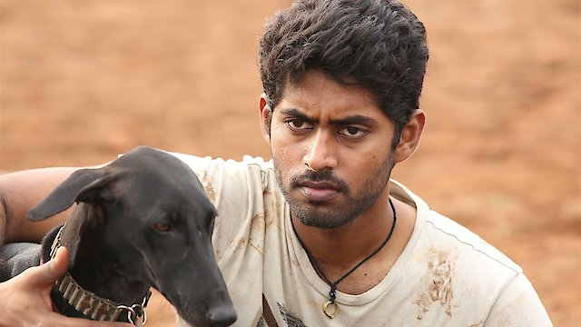 Watch Pariyerum Perumal BA.BL Online