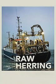 Raw Herring