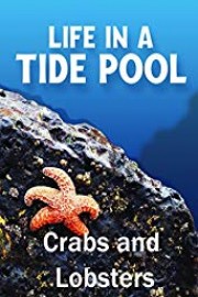 Crabs and Lobsters