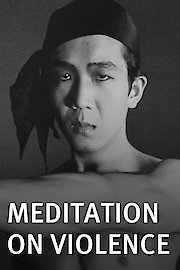 Meditation on Violence poster