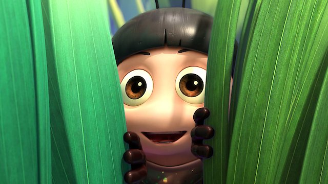 Watch The Ladybug Online