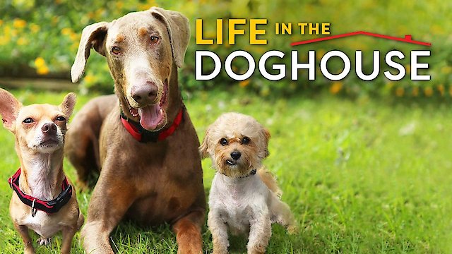 Watch Life in the Doghouse Online