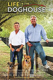 Life in the Doghouse poster