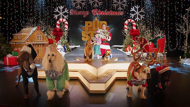 Watch Puppy Star Christmas Online