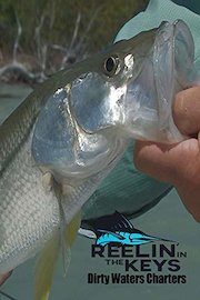 Reelin In The Keys Dirty waters Charters