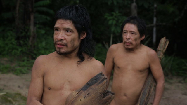 Watch Piripkura Online