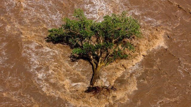 Watch A Thirsty World Online