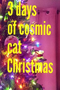 3 days of Cosmic cat Christmas