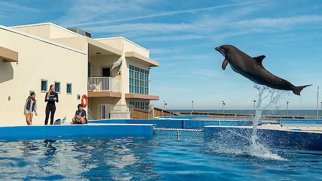 Watch Bernie The Dolphin Online