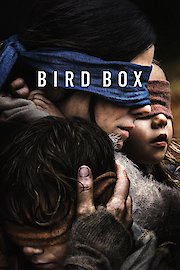 Bird Box poster