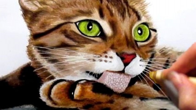 Watch Time Lapse Drawing of a Bengal Cat Online