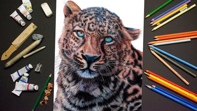 Watch Time Lapse Drawing of a Leopard Online