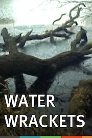 Water Wrackets poster