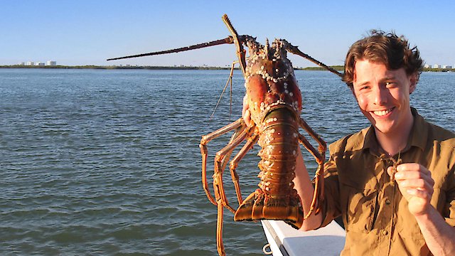 Watch Creatures of the Lagoon Online