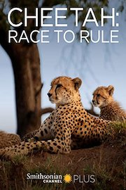 Cheetah: Race to Rule