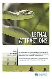 Lethal Attractions poster