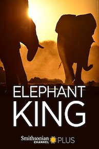 Elephant King