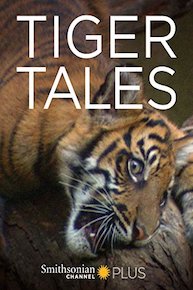 Tiger Tales