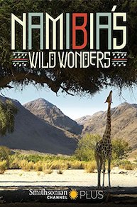 Namibia's Wild Wonders