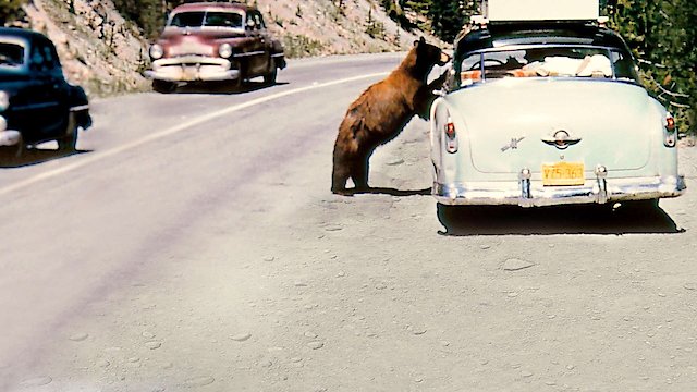 Watch America's National Parks at 100 Online